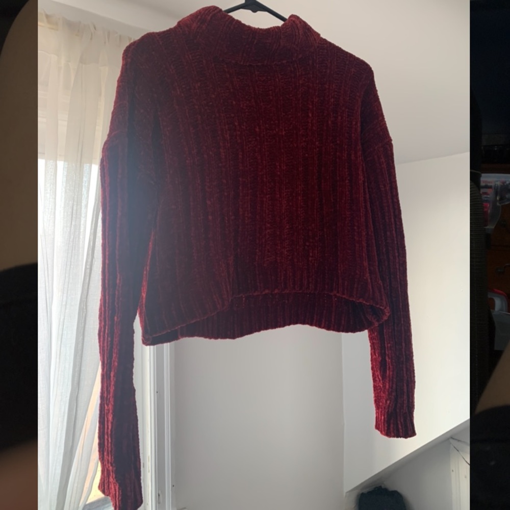 Aritzia cropped turtle neck.